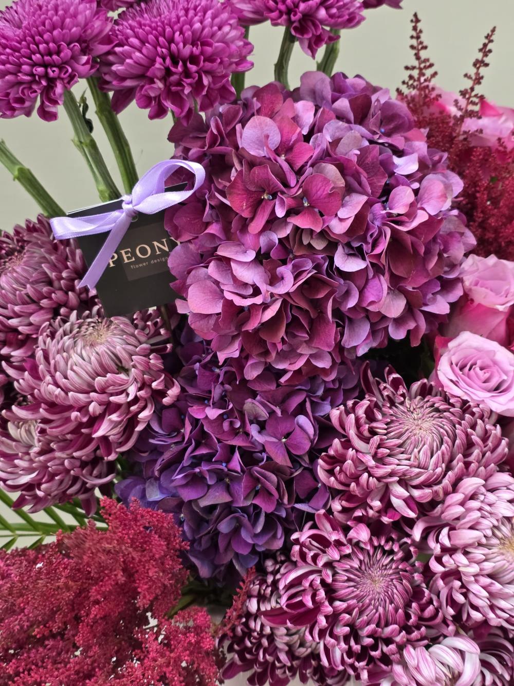 Momoko Hydrangea
